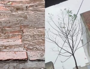 यूपी में अचानक बदला मौसम, सुबह से झमाझम बारिश