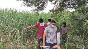 पेड़ पर लटका मिला सड़ागला शव, क्षेत्र में सनसनी; पहचान नहीं हो सकी